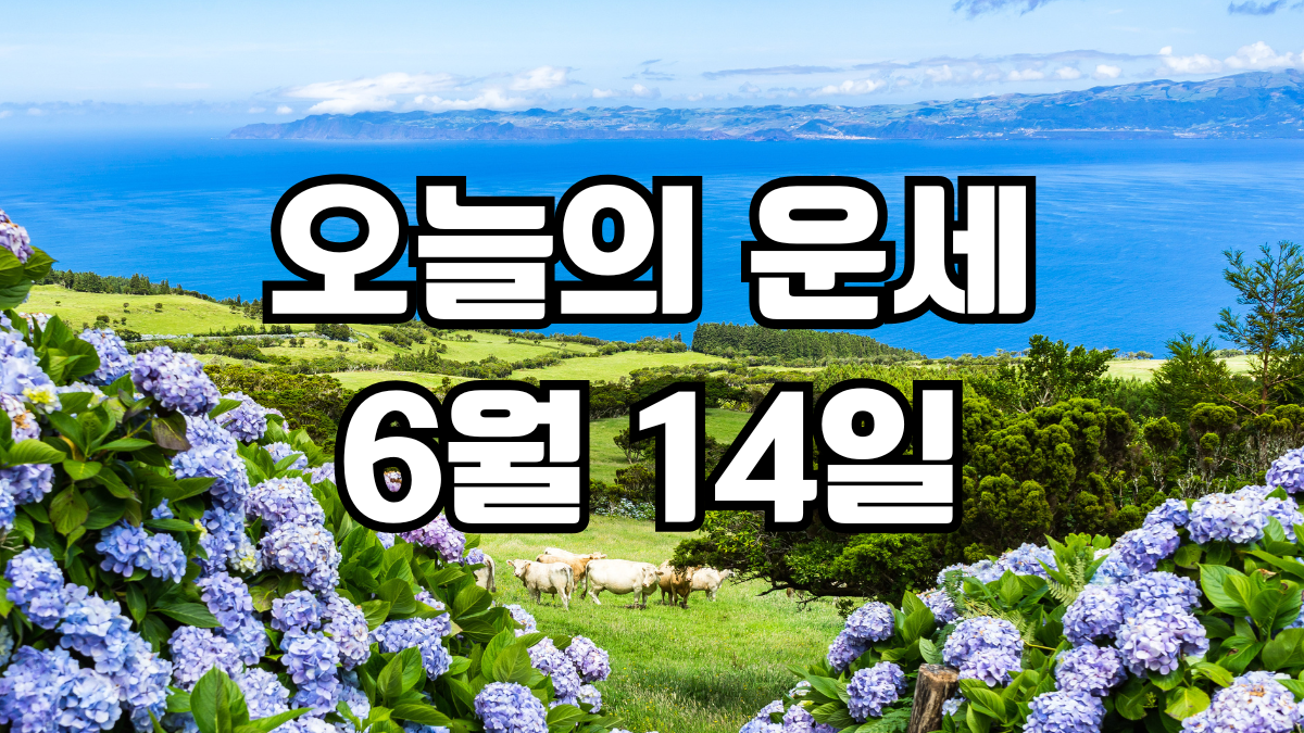 오늘의운세 6월 14일