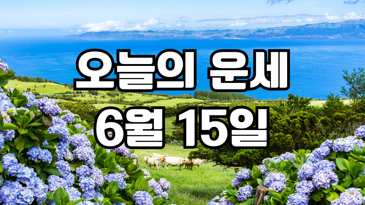 오늘의운세 6월 15일