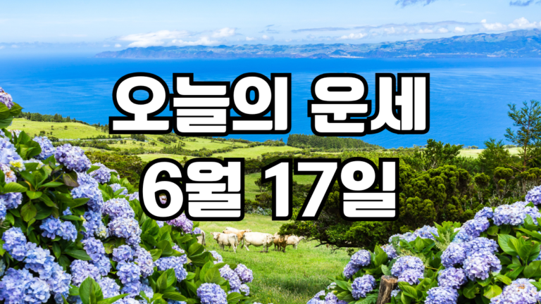 오늘의운세 6월 17일