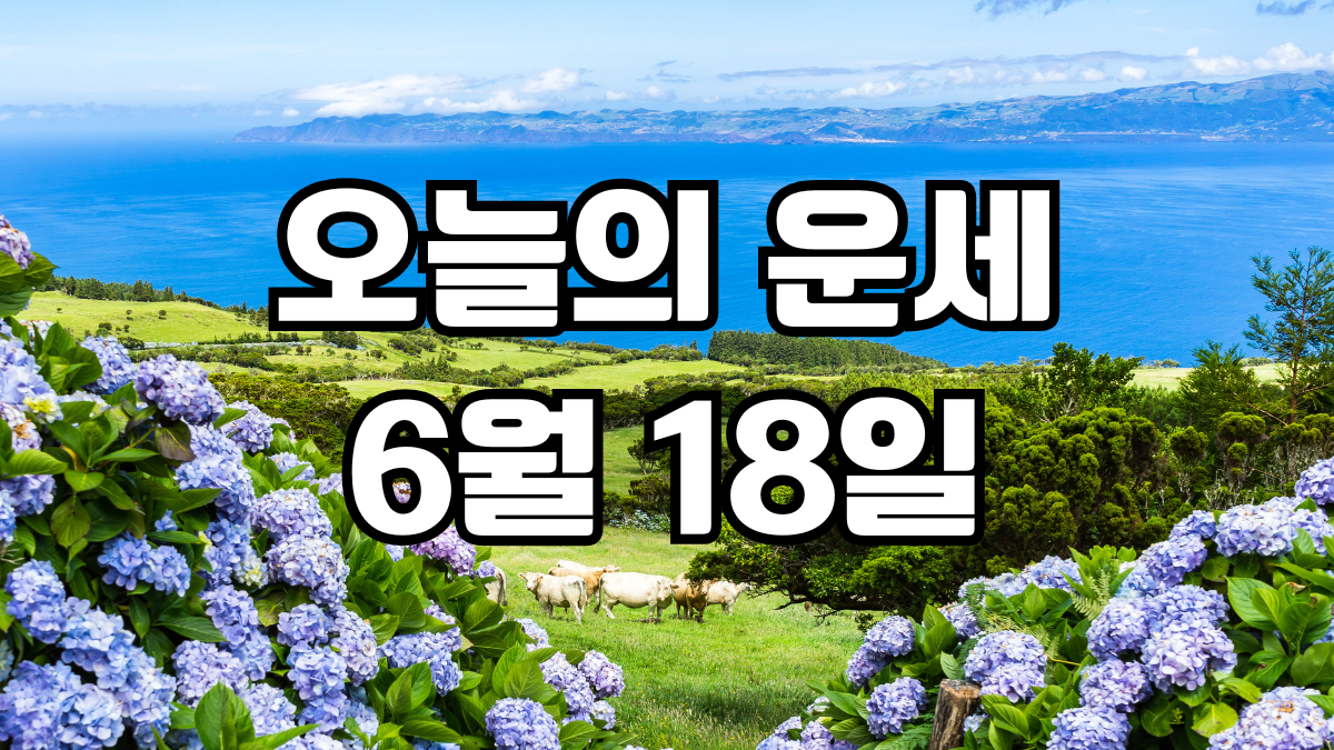 오늘의운세 6월 18일