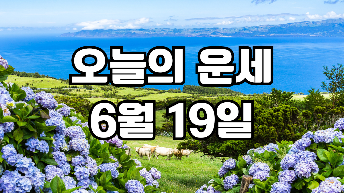오늘의운세 6월 19일