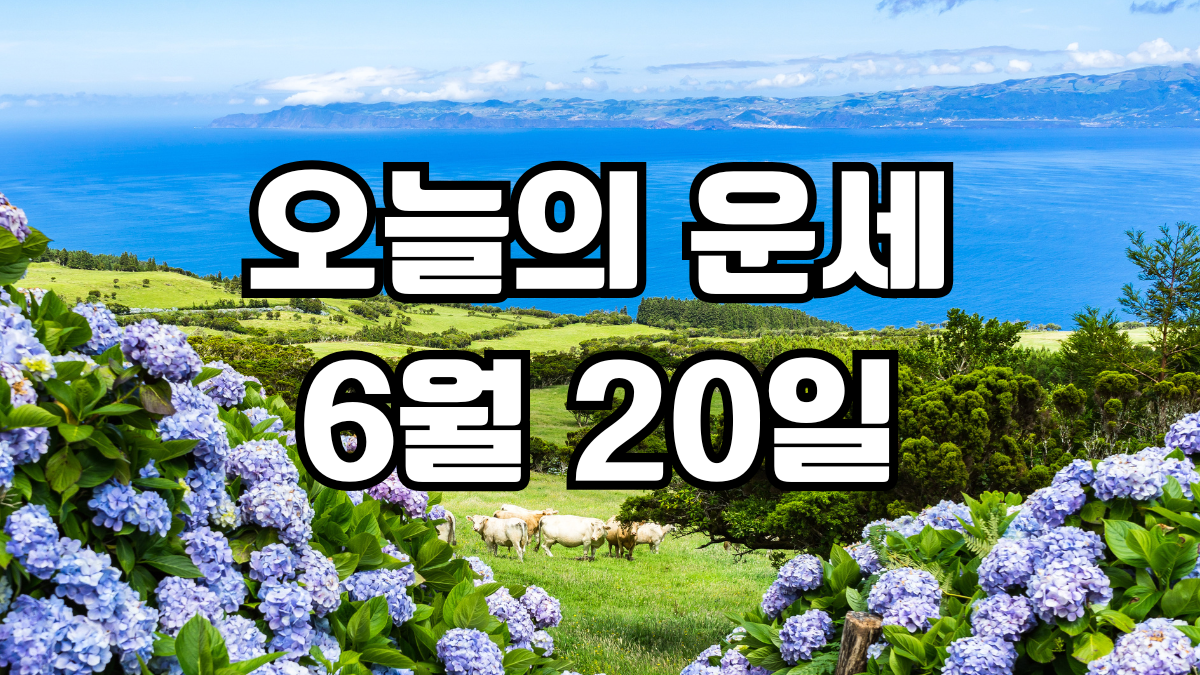 오늘의운세 6월 20일