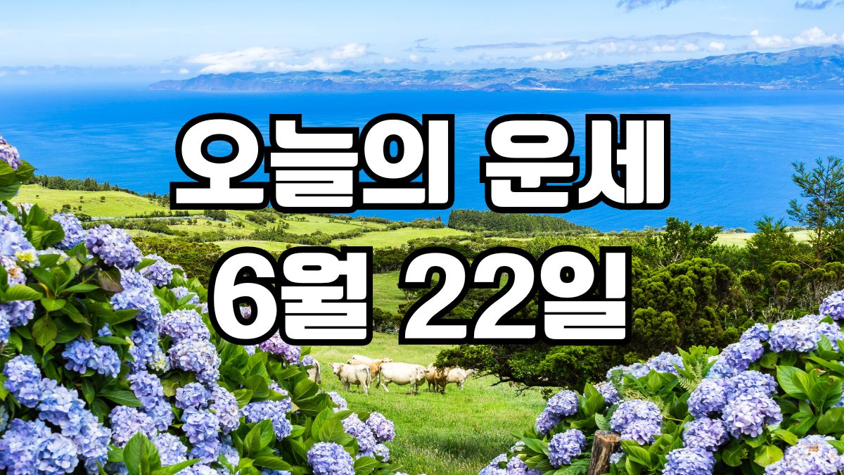 오늘의운세 6월 22일
