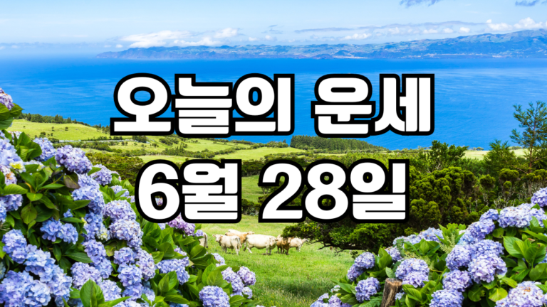 오늘의운세 6월 28일