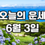 오늘의운세 6월 3일