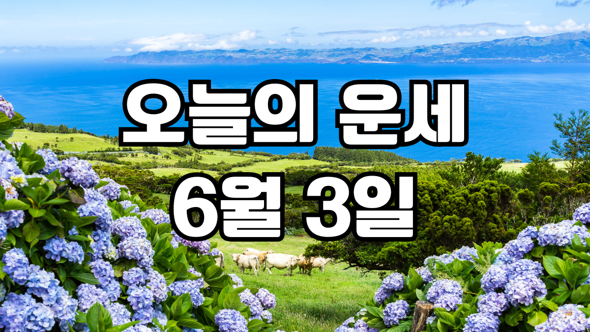 오늘의운세 6월 3일