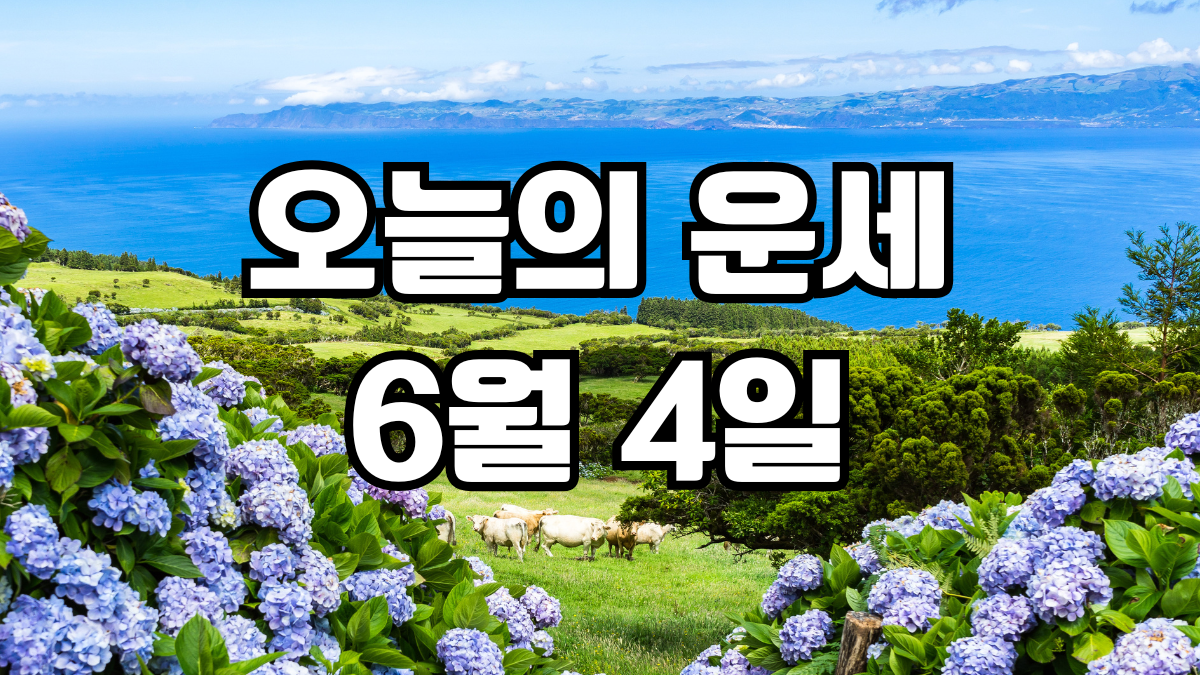 오늘의운세 6월 4일