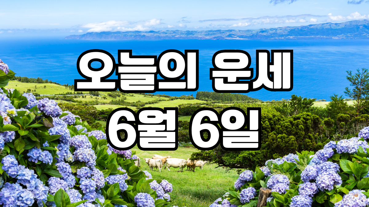 오늘의운세 6월 6일
