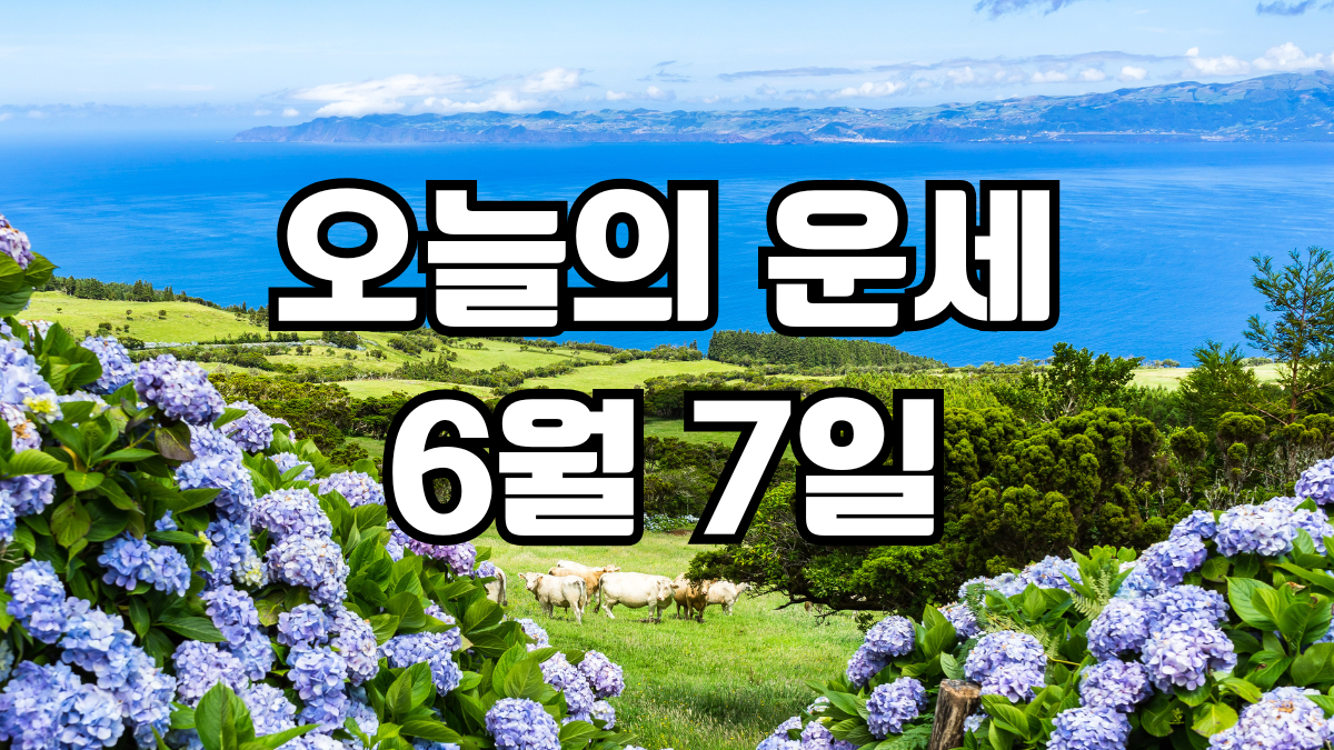 오늘의운세 6월 7일