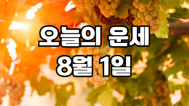 오늘의운세 8월 1일