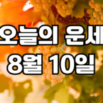 오늘의운세 8월 10일
