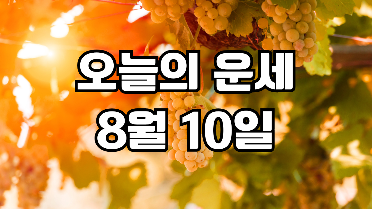오늘의운세 8월 10일