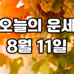 오늘의운세 8월 11일