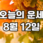 오늘의운세 8월 12일