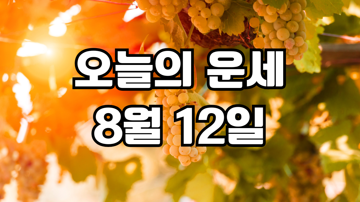 오늘의운세 8월 12일