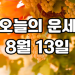 오늘의운세 8월 13일