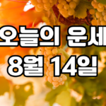 오늘의운세 8월 14일