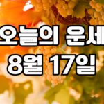 오늘의운세 8월 17일