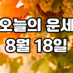오늘의운세 8월 18일