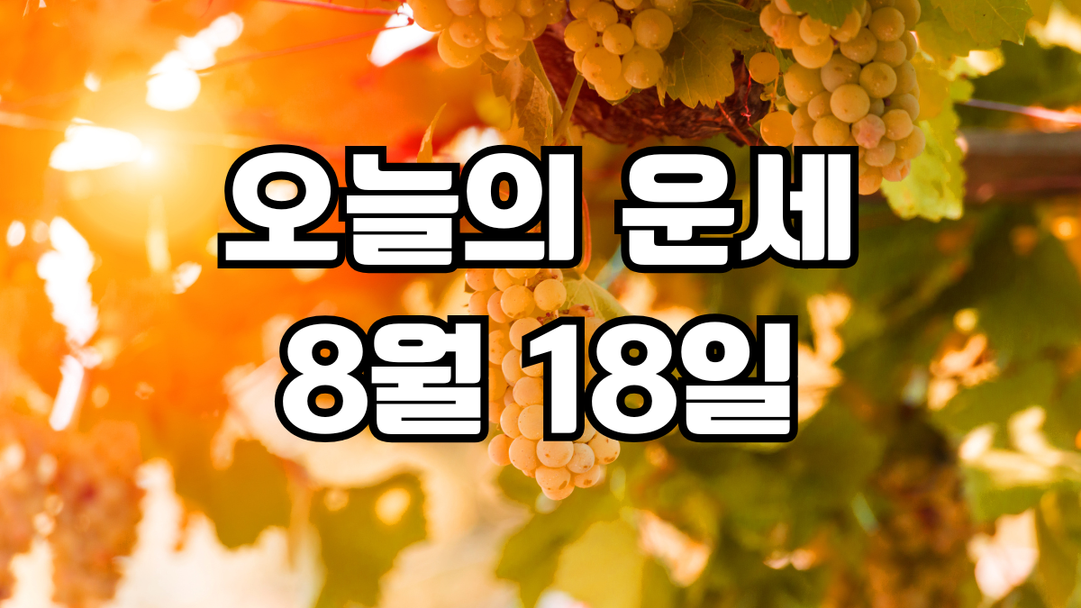 오늘의운세 8월 18일