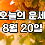 오늘의운세 8월 20일