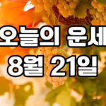 오늘의운세 8월 21일