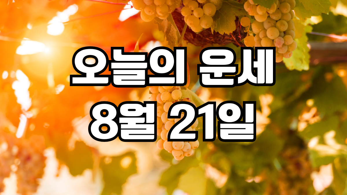 오늘의운세 8월 21일