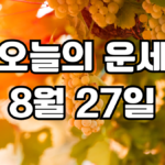 오늘의운세 8월 27일
