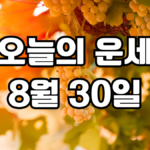 오늘의운세 8월 30일