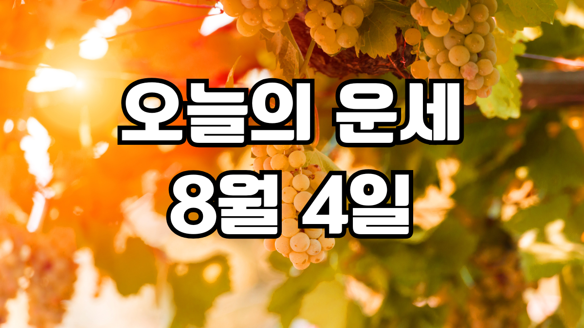 오늘의운세 8월 4일