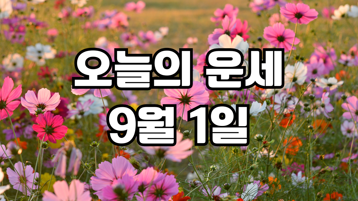오늘의운세 9월 1일