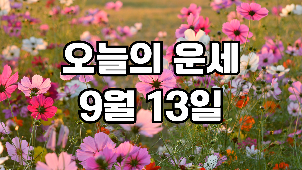 오늘의운세 9월 13일