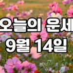 오늘의운세 9월 14일