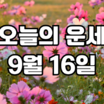 오늘의운세 9월 16일