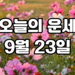오늘의운세 9월 23일