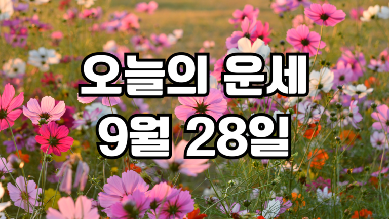 오늘의운세 9월 28일
