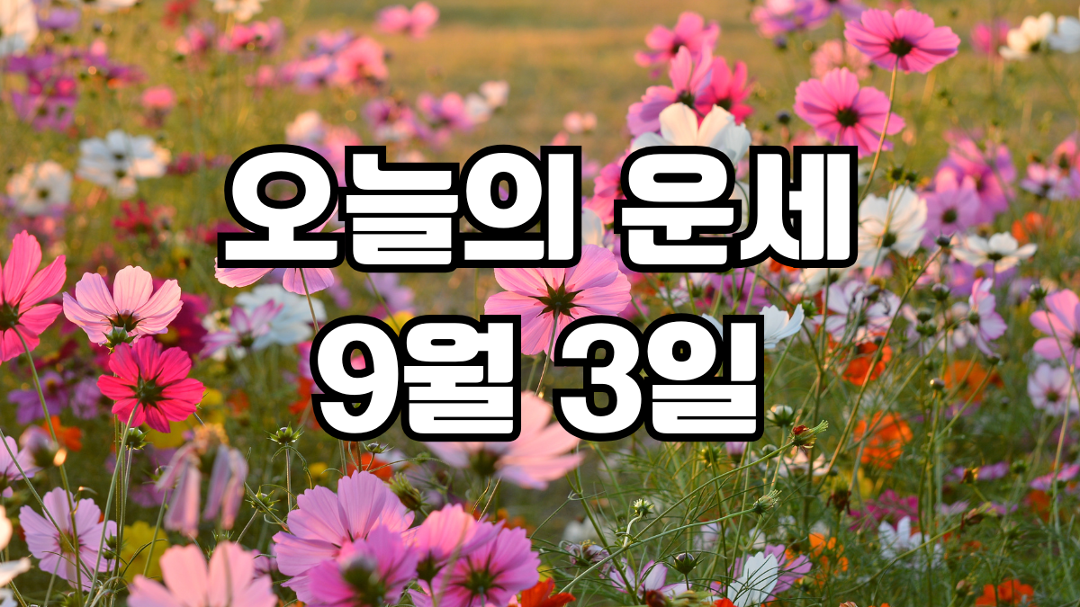 오늘의운세 9월 3일