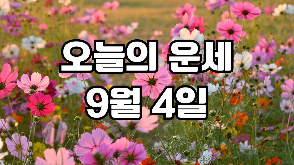 오늘의운세 9월 4일