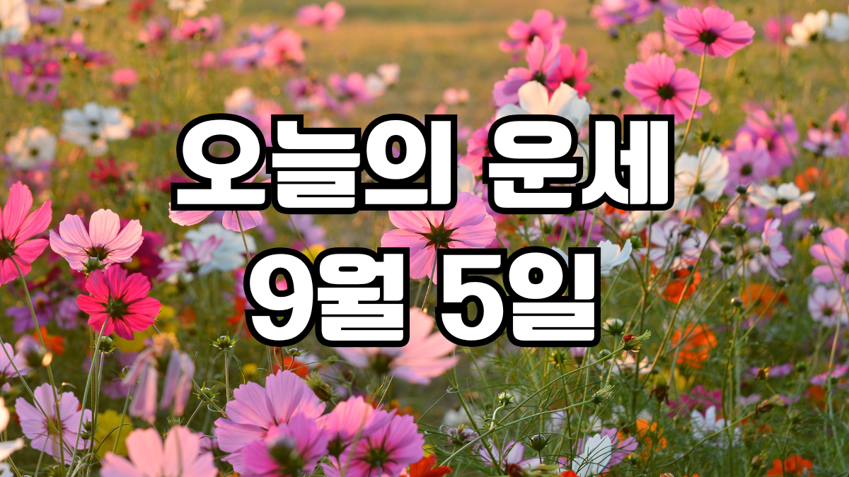 오늘의운세 9월 5일