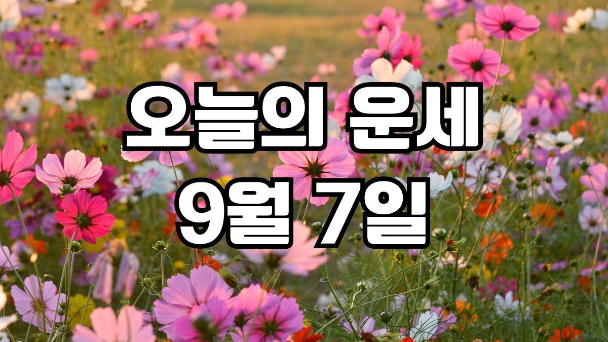 오늘의운세 9월 7일
