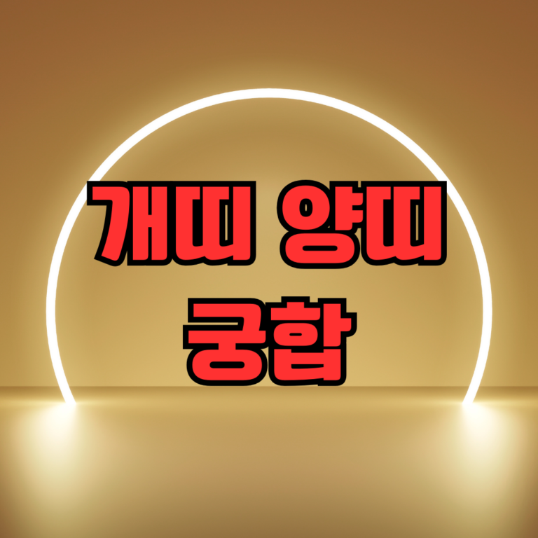 개띠 양띠 궁합