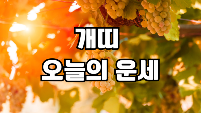 개띠 오늘의 운세
