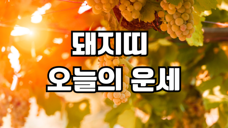 돼지띠 오늘의 운세