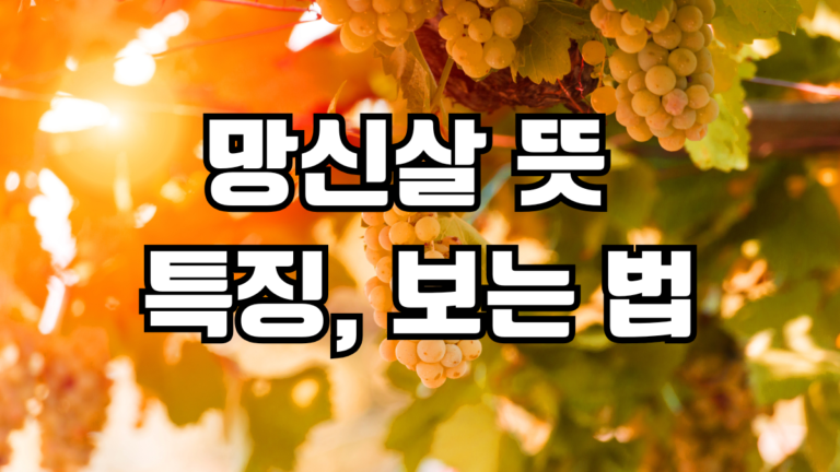 망신살 뜻