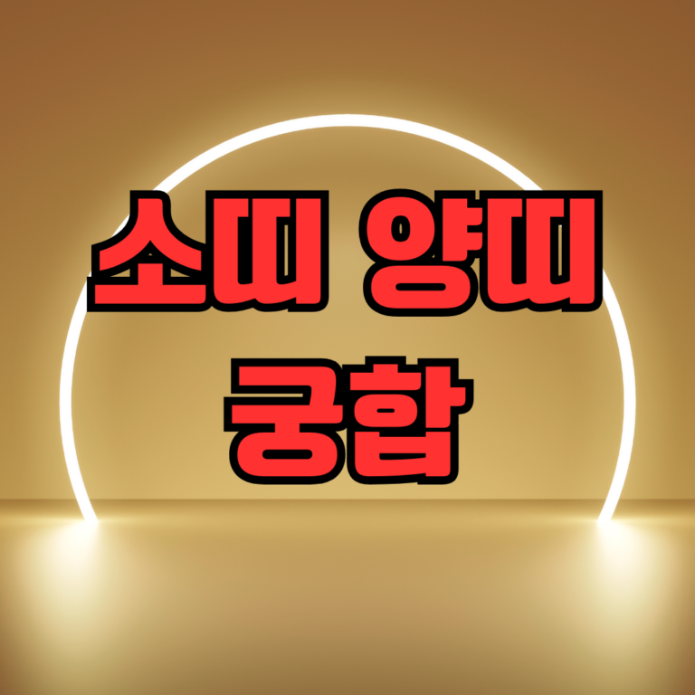 소띠 양띠 궁합