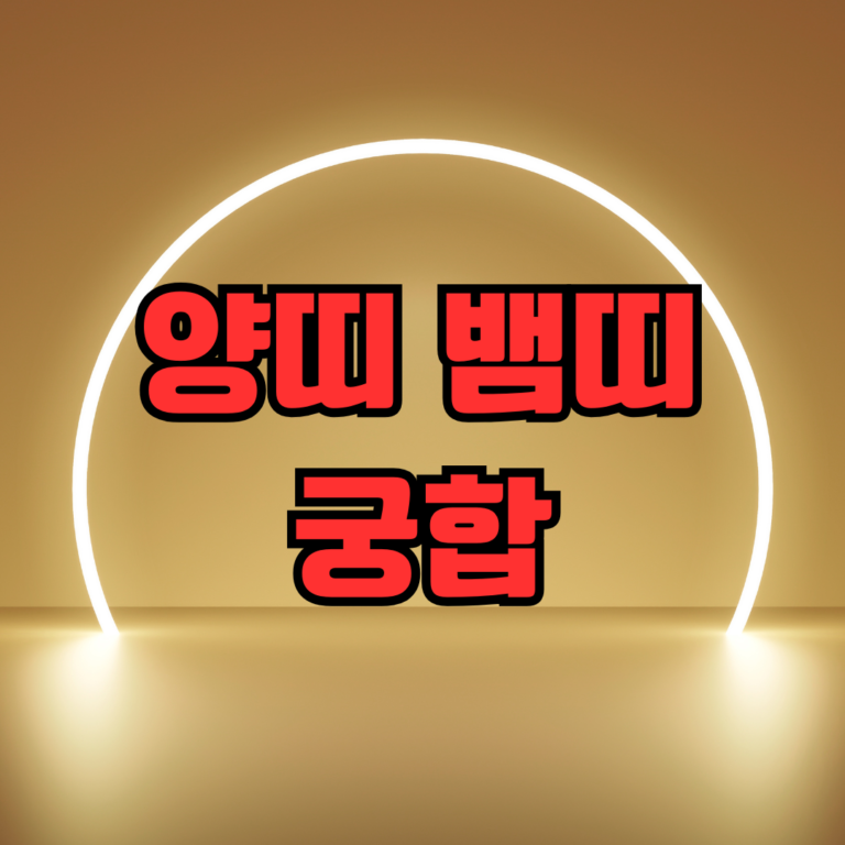 양띠 뱀띠 궁합