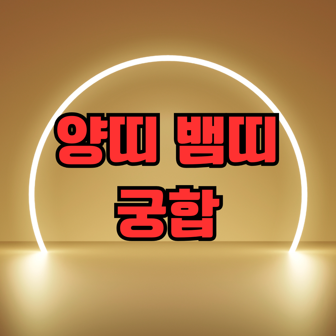 양띠 뱀띠 궁합