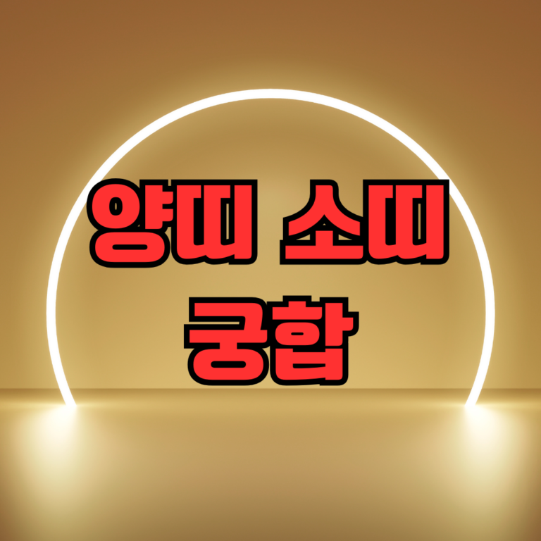 양띠 소띠 궁합