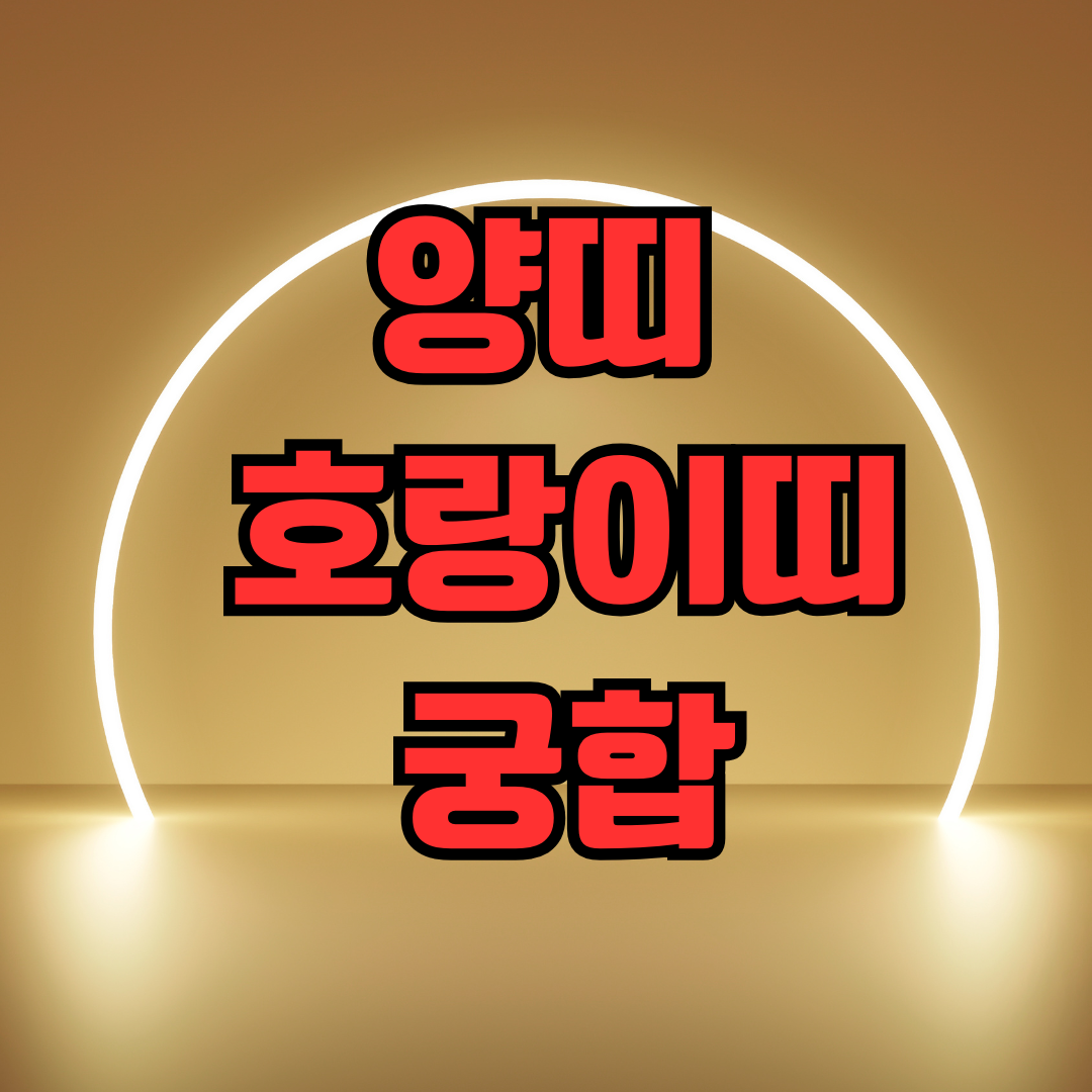 양띠 호랑이띠 궁합