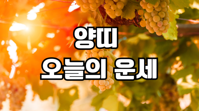 양띠 오늘의 운세
